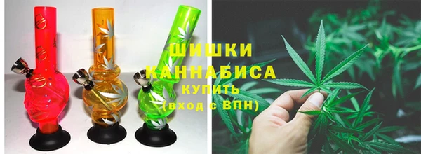 гашиш Богданович