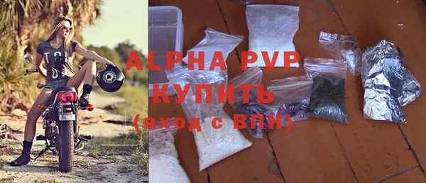 крисы Белокуриха