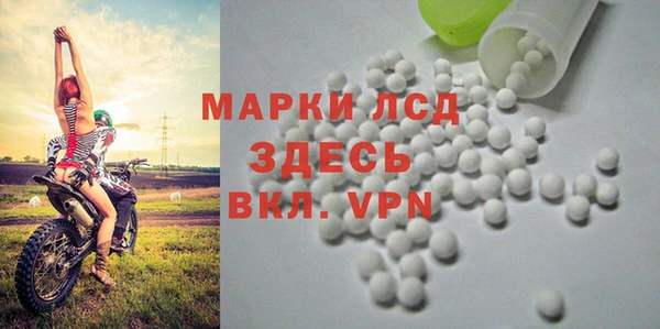 гашиш Богданович